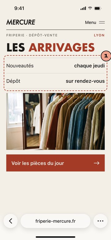 Écran du site de Mercure, friperie imaginaire